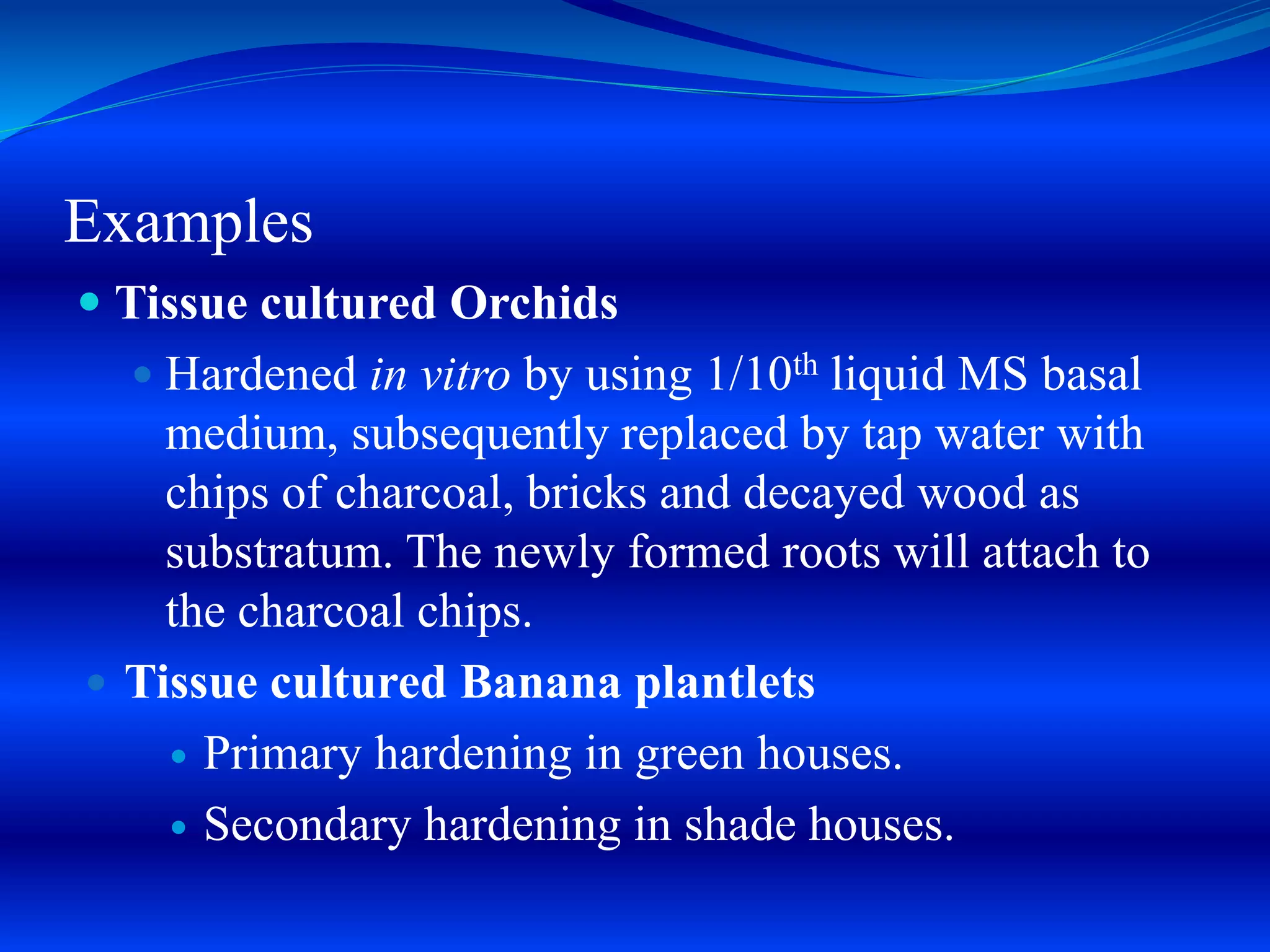 Examples
 Tissue cultured Orchids
 Hardened in vitro by using 1/10th liquid MS basal
medium, subsequently replaced by tap water with
chips of charcoal, bricks and decayed wood as
substratum. The newly formed roots will attach to
the charcoal chips.
 Tissue cultured Banana plantlets
 Primary hardening in green houses.
 Secondary hardening in shade houses.
 