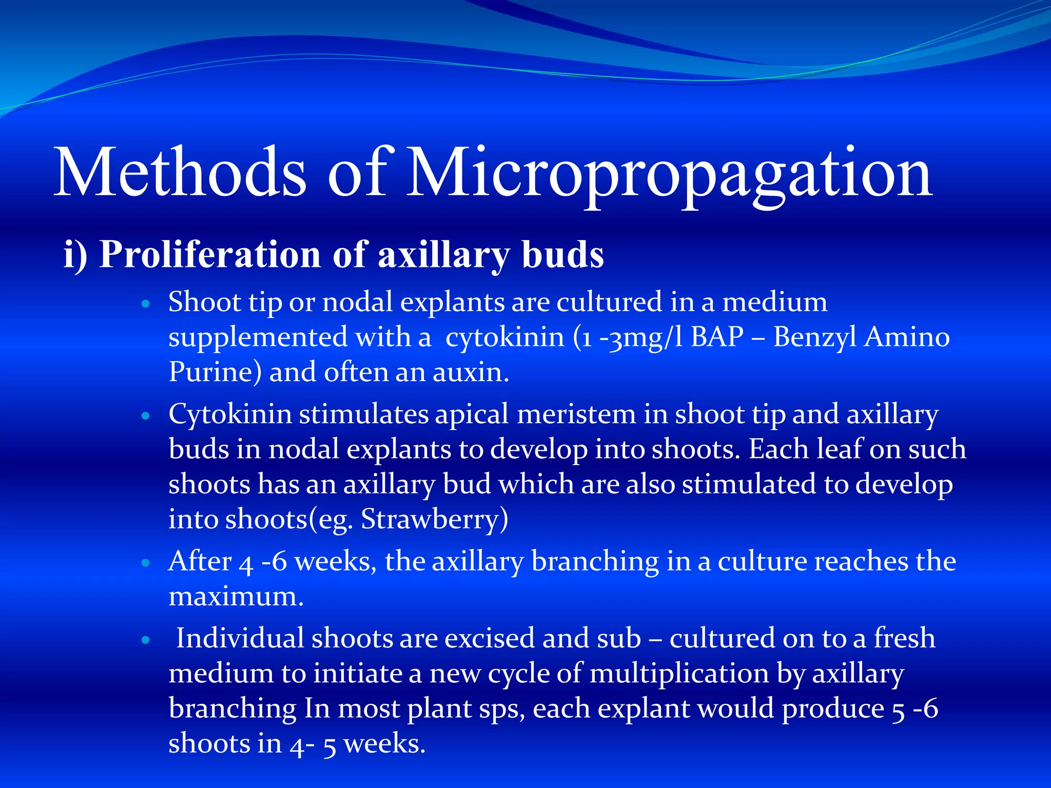 Methods of Micropropagation
i) Proliferation of axillary buds
 Shoot tip or nodal explants are cultured in a medium
supplemented with a cytokinin (1 -3mg/l BAP – Benzyl Amino
Purine) and often an auxin.
 Cytokinin stimulates apical meristem in shoot tip and axillary
buds in nodal explants to develop into shoots. Each leaf on such
shoots has an axillary bud which are also stimulated to develop
into shoots(eg. Strawberry)
 After 4 -6 weeks, the axillary branching in a culture reaches the
maximum.
 Individual shoots are excised and sub – cultured on to a fresh
medium to initiate a new cycle of multiplication by axillary
branching In most plant sps, each explant would produce 5 -6
shoots in 4- 5 weeks.
 