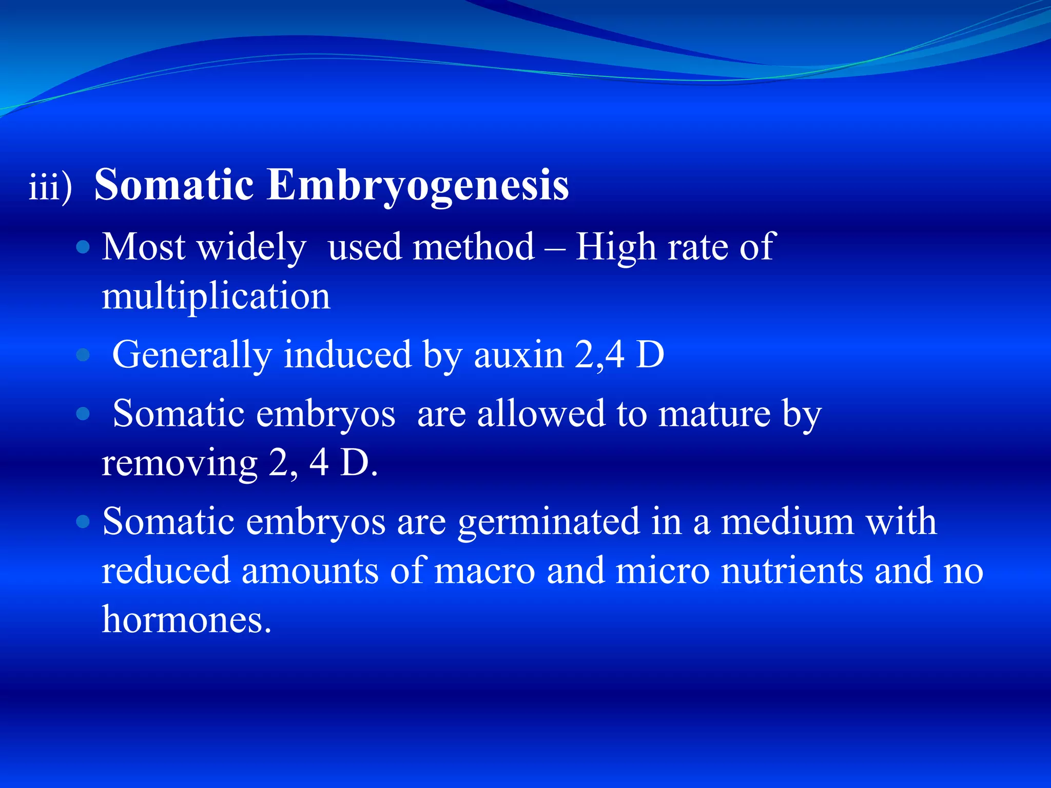 iii) Somatic Embryogenesis
 Most widely used method – High rate of
multiplication
 Generally induced by auxin 2,4 D
 Somatic embryos are allowed to mature by
removing 2, 4 D.
 Somatic embryos are germinated in a medium with
reduced amounts of macro and micro nutrients and no
hormones.
 