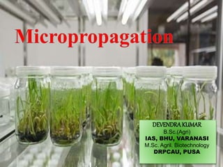 DEVENDRAKUMAR
B.Sc.(Agri)
IAS, BHU, VARANASI
M.Sc. Agril. Biotechnology
DRPCAU, PUSA
 