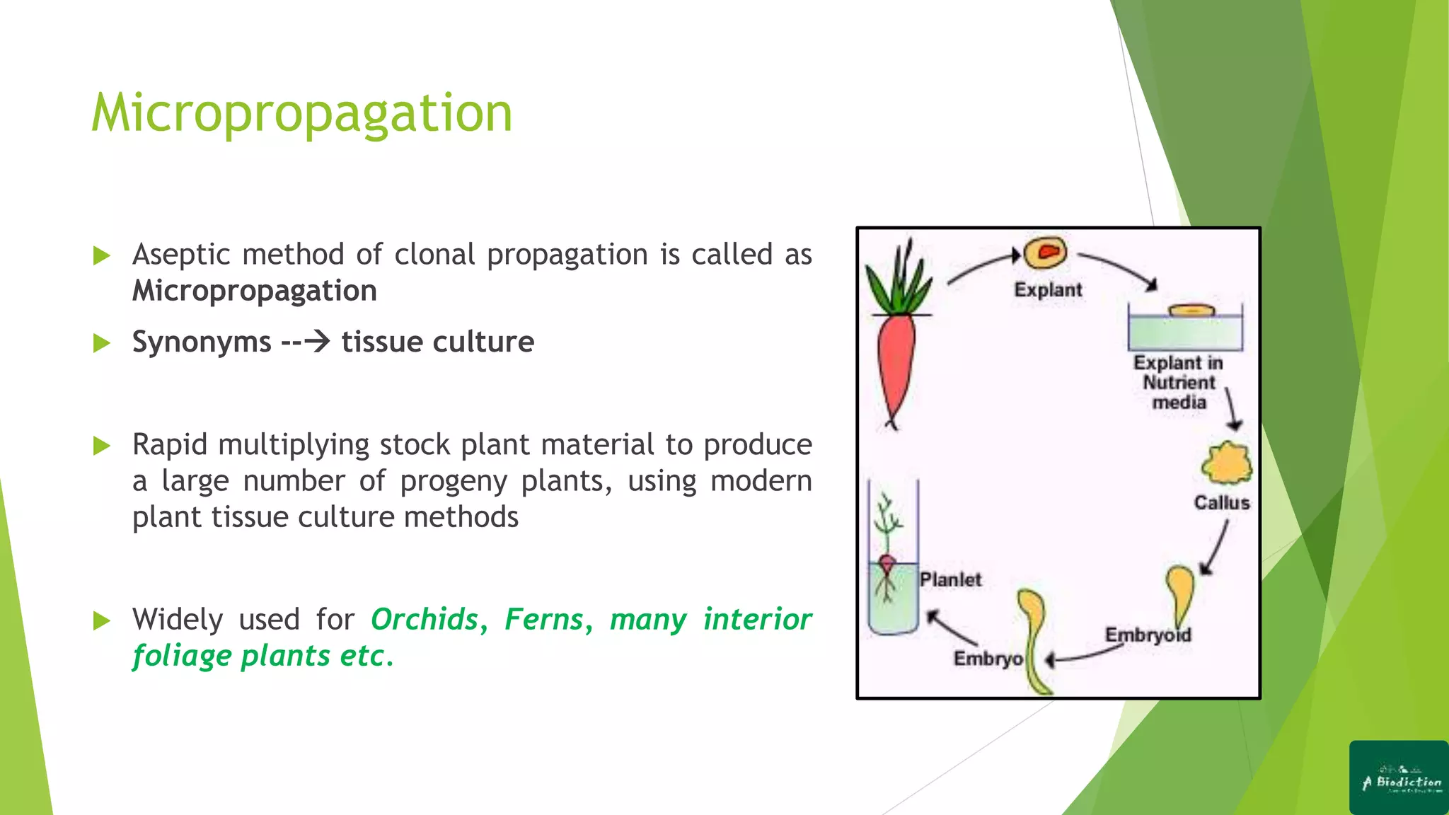 Micropropagation
 Aseptic method of clonal propagation is called as
Micropropagation
 Synonyms -- tissue culture
 Rapid multiplying stock plant material to produce
a large number of progeny plants, using modern
plant tissue culture methods
 Widely used for Orchids, Ferns, many interior
foliage plants etc.
 