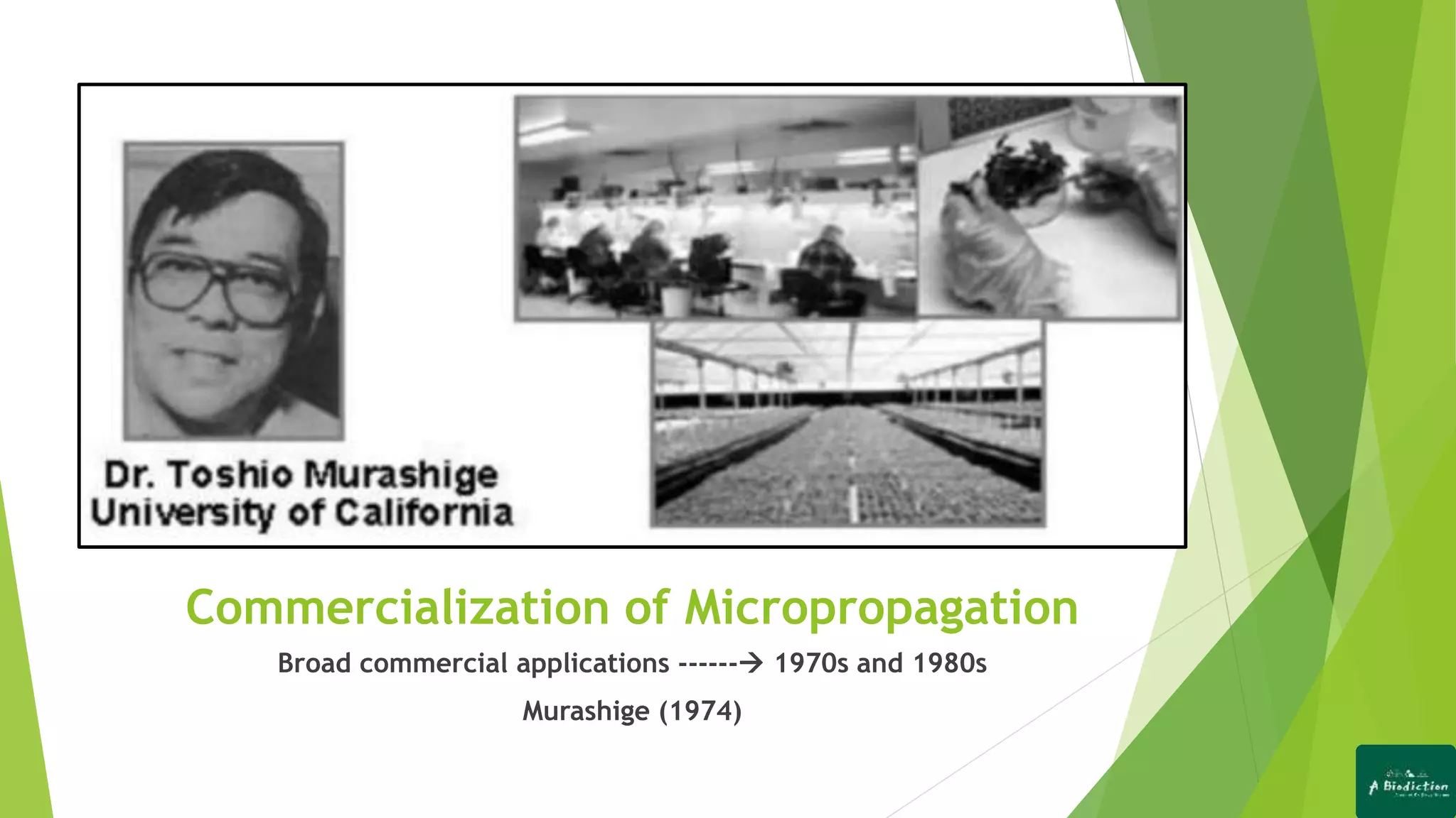 Commercialization of Micropropagation
Broad commercial applications ------ 1970s and 1980s
Murashige (1974)
 
