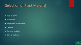 Selection of Plant Material
 Part of plant
 Genotype
 Physiological condition
 Season
 Position on plant
 Size of explants
 
