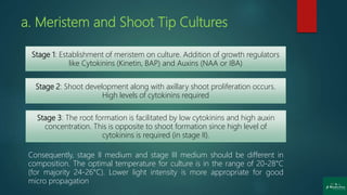 a. Meristem and Shoot Tip Cultures
Stage 1: Establishment of meristem on culture. Addition of growth regulators
like Cytokinins (Kinetin, BAP) and Auxins (NAA or IBA)
Stage 2: Shoot development along with axillary shoot proliferation occurs.
High levels of cytokinins required
Stage 3: The root formation is facilitated by low cytokinins and high auxin
concentration. This is opposite to shoot formation since high level of
cytokinins is required (in stage II).
Consequently, stage II medium and stage III medium should be different in
composition. The optimal temperature for culture is in the range of 20-28°C
(for majority 24-26°C). Lower light intensity is more appropriate for good
micro propagation
 