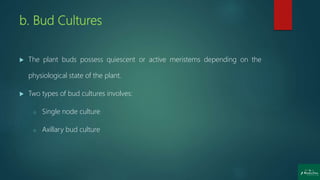 b. Bud Cultures
 The plant buds possess quiescent or active meristems depending on the
physiological state of the plant.
 Two types of bud cultures involves:
o Single node culture
o Axillary bud culture
 