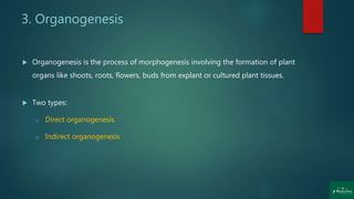 3. Organogenesis
 Organogenesis is the process of morphogenesis involving the formation of plant
organs like shoots, roots, flowers, buds from explant or cultured plant tissues.
 Two types:
o Direct organogenesis
o Indirect organogenesis
 