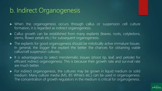 b. Indirect Organogenesis
 When the organogenesis occurs through callus or suspension cell culture
formation, it is regarded as indirect organogenesis.
 Callus growth can be established from many explants (leaves, roots, cotyledons,
stems, flower petals etc.) for subsequent organogenesis.
 The explants for good organogenesis should be mitotically active immature tissues.
In general, the bigger the explant the better the chances for obtaining viable
callus/cell suspension cultures.
 It is advantageous to select meristematic tissues (shoot tip, leaf, and petiole) for
efficient indirect organogenesis. This is because their growth rate and survival rate
are much better.
 For indirect organogenesis, the cultures may be grown in liquid medium or solid
medium. Many culture media (MS, B5 White’s etc.) can be used in organogenesis.
The concentration of growth regulators in the medium is critical for organogenesis.
 