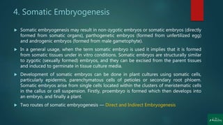 4. Somatic Embryogenesis
 Somatic embryogenesis may result in non-zygotic embryos or somatic embryos (directly
formed from somatic organs), parthogenetic embryos (formed from unfertilized egg)
and androgenic embryos (formed from male gametophyte).
 In a general usage, when the term somatic embryo is used it implies that it is formed
from somatic tissues under in vitro conditions. Somatic embryos are structurally similar
to zygotic (sexually formed) embryos, and they can be excised from the parent tissues
and induced to germinate in tissue culture media.
 Development of somatic embryos can be done in plant cultures using somatic cells,
particularly epidermis, parenchymatous cells of petioles or secondary root phloem.
Somatic embryos arise from single cells located within the clusters of meristematic cells
in the callus or cell suspension. Firstly, proembryo is formed which then develops into
an embryo, and finally a plant.
 Two routes of somatic embryogenesis — Direct and Indirect Embryogenesis
 