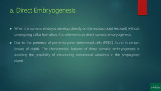 a. Direct Embryogenesis
 When the somatic embryos develop directly on the excised plant (explant) without
undergoing callus formation, it is referred to as direct somatic embryogenesis.
 Due to the presence of pre-embryonic determined cells (PEDQ found in certain
tissues of plants. The characteristic features of direct somatic embryogenesis is
avoiding the possibility of introducing somaclonal variations in the propagated
plants.
 