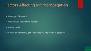 Factors Affecting Micropropagation
 Genotype of the plant
 Physiological status of the explants
 Culture media
 Culture environment (Light, Temperature, Composition of gas phase )
 