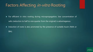 Factors Affecting in-vitro Rooting
 For efficient in vitro rooting during micropropagation, low concentration of
salts (reduction to half to one quarter from the original) is advantageous.
 Induction of roots is also promoted by the presence of suitable Auxin (NAA or
IBA).
 
