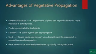 Advantages of Vegetative Propagation
 Faster multiplication --- Large number of plants can be produced from a single
individual in a short period.
 Produce genetically identical plants
 Sexually ---- Sterile hybrids can be propagated.
 Seed --- Raised plants pass through an undesirable juvenile phase which is
avoided in asexual propagation.
 Gene banks can be more easily established by clonally propagated plants
 