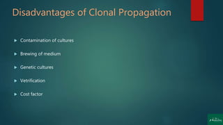 Disadvantages of Clonal Propagation
 Contamination of cultures
 Brewing of medium
 Genetic cultures
 Vetrification
 Cost factor
 