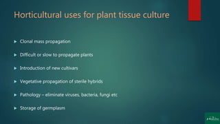 Horticultural uses for plant tissue culture
 Clonal mass propagation
 Difficult or slow to propagate plants
 Introduction of new cultivars
 Vegetative propagation of sterile hybrids
 Pathology – eliminate viruses, bacteria, fungi etc
 Storage of germplasm
 