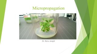 Micropropagation
Dr. Renu Jangid
 