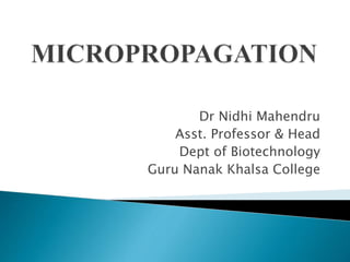 Dr Nidhi Mahendru
Asst. Professor & Head
Dept of Biotechnology
Guru Nanak Khalsa College
 