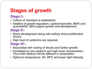 Stages of growth
Stage I:-
 Culture of meristem is established.
 Addition of growth regulators, cytokinins(kinetin, BAP) and
auxins(NAA, IBA) support growth and development.
Stage II:-
 Shoot development along with axillary shoot proliferation
occurs.
 High level of cytokinins are reqiured.
Stage III:-
 Associated with rooting of shoots and further growth.
 Facilitated by low cytokinin and high auxin concentration.
Thus both medium will be different in composition.
 Optimum temperature- 20- 28ºC and lower light intensity.
 