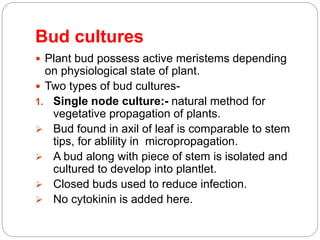 Bud cultures
 Plant bud possess active meristems depending
on physiological state of plant.
 Two types of bud cultures-
1. Single node culture:- natural method for
vegetative propagation of plants.
 Bud found in axil of leaf is comparable to stem
tips, for ablility in micropropagation.
 A bud along with piece of stem is isolated and
cultured to develop into plantlet.
 Closed buds used to reduce infection.
 No cytokinin is added here.
 