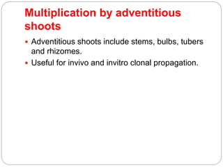 Multiplication by adventitious
shoots
 Adventitious shoots include stems, bulbs, tubers
and rhizomes.
 Useful for invivo and invitro clonal propagation.
 