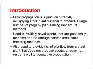 Introduction
 Micropropagation is a practice of rapidly
multiplying stock plant material to produce a large
number of progeny plants using modern PTC
methods.
 Used to multiply novel plants, that are genetically
modified or bred through conventional plant
breeding methods.
 Also used to provide no. of plantlets from a stock
plant that does not produce seeds, or does not
respond well to vegetative propagation.
 