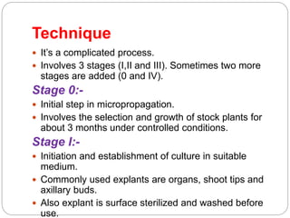 Technique
 It’s a complicated process.
 Involves 3 stages (I,II and III). Sometimes two more
stages are added (0 and IV).
Stage 0:-
 Initial step in micropropagation.
 Involves the selection and growth of stock plants for
about 3 months under controlled conditions.
Stage I:-
 Initiation and establishment of culture in suitable
medium.
 Commonly used explants are organs, shoot tips and
axillary buds.
 Also explant is surface sterilized and washed before
use.
 