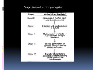 Stages involved in micropropagation
 