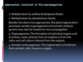Approaches involved in Micropropagation
1. Multiplication by axillary buds/apical shoots.
2. Multiplication by adventitious shoots.
Besides the above two approaches, the plant regeneration
processes namely organogenesis and somatic embryo-
genesis may also be treated as micro propagation.
3. Organogenesis:The formation of individual organs such
as shoots, roots, directly from an explant or from the
callus and cell culture induced from the explant.
4. Somatic embryogenesis:The regeneration of embryos
from somatic cells, tissues or organs.
 