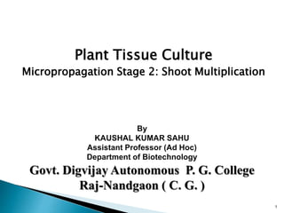 Plant Tissue Culture
Micropropagation Stage 2: Shoot Multiplication
1
By
KAUSHAL KUMAR SAHU
Assistant Professor (Ad Hoc)
Department of Biotechnology
Govt. Digvijay Autonomous P. G. College
Raj-Nandgaon ( C. G. )
 