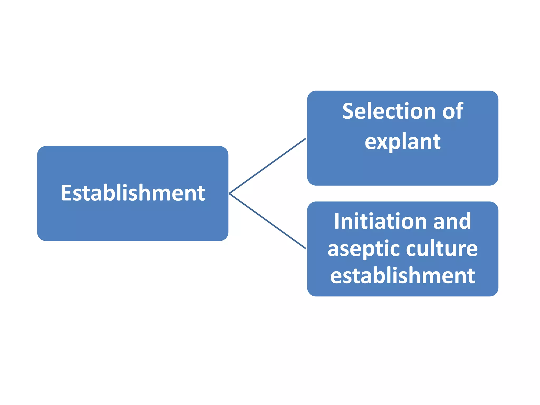 Establishment 
Selection of 
explant 
Initiation and 
aseptic culture 
establishment 
 