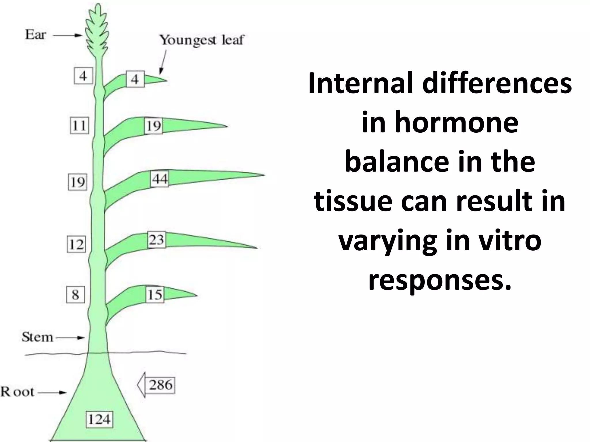 Internal differences 
in hormone 
balance in the 
tissue can result in 
varying in vitro 
responses. 
 