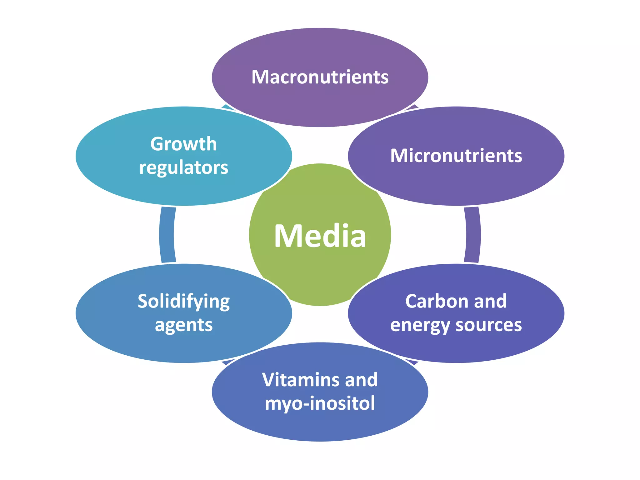 Macronutrients 
Media 
Micronutrients 
Carbon and 
energy sources 
Vitamins and 
myo-inositol 
Growth 
regulators 
Solidifying 
agents 
 
