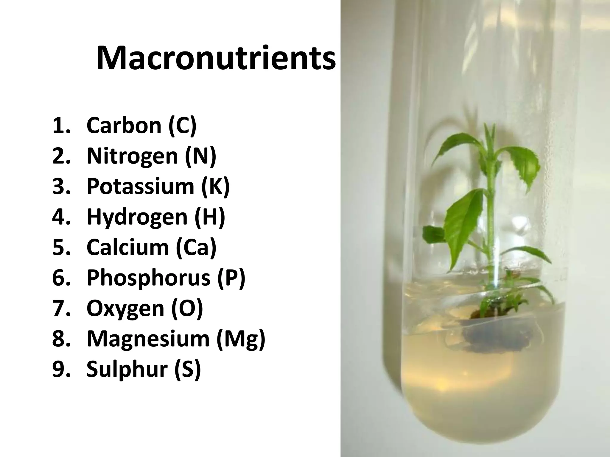 Macronutrients 
1. Carbon (C) 
2. Nitrogen (N) 
3. Potassium (K) 
4. Hydrogen (H) 
5. Calcium (Ca) 
6. Phosphorus (P) 
7. Oxygen (O) 
8. Magnesium (Mg) 
9. Sulphur (S) 
 