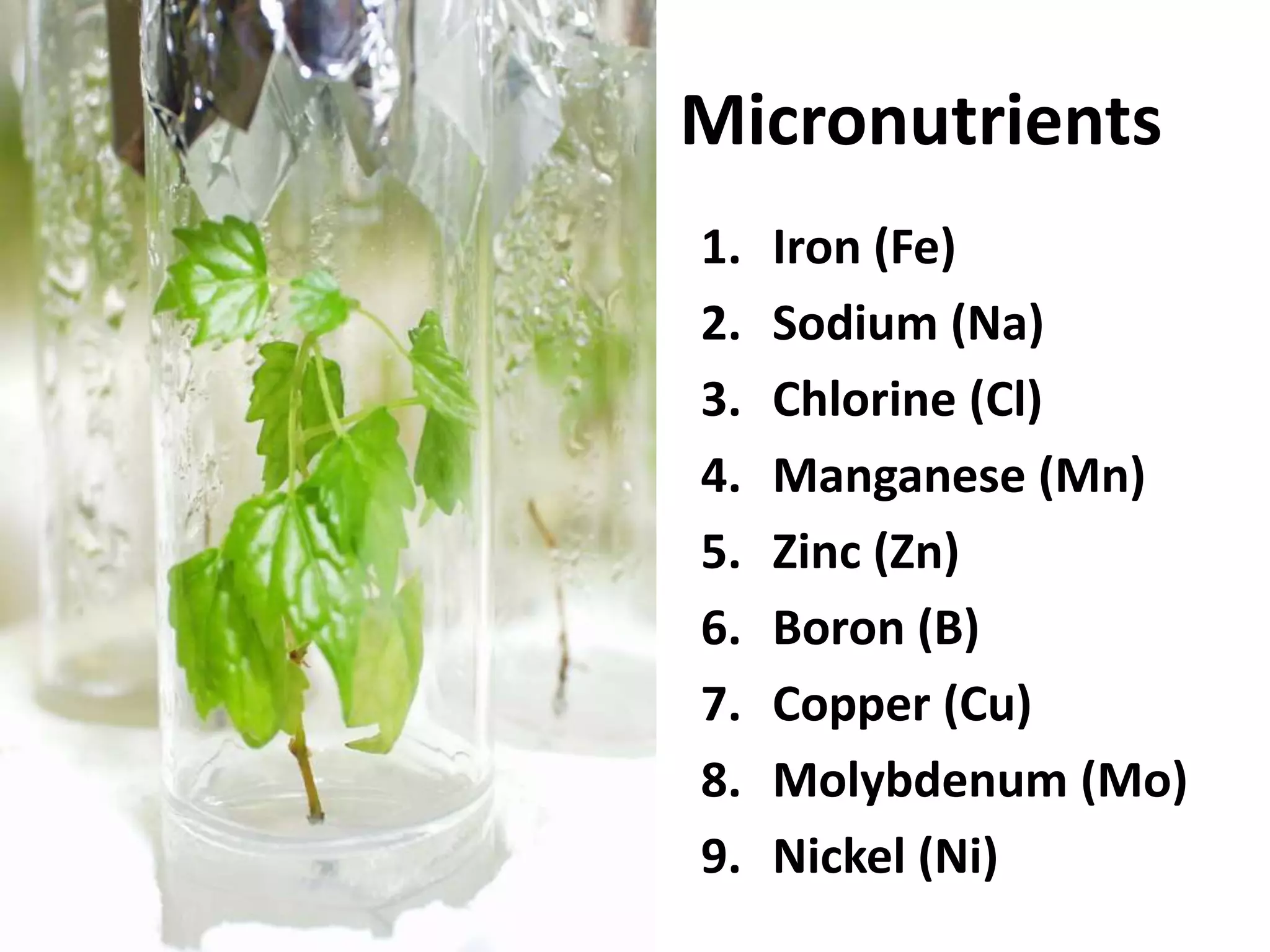 Micronutrients 
1. Iron (Fe) 
2. Sodium (Na) 
3. Chlorine (Cl) 
4. Manganese (Mn) 
5. Zinc (Zn) 
6. Boron (B) 
7. Copper (Cu) 
8. Molybdenum (Mo) 
9. Nickel (Ni) 
 
