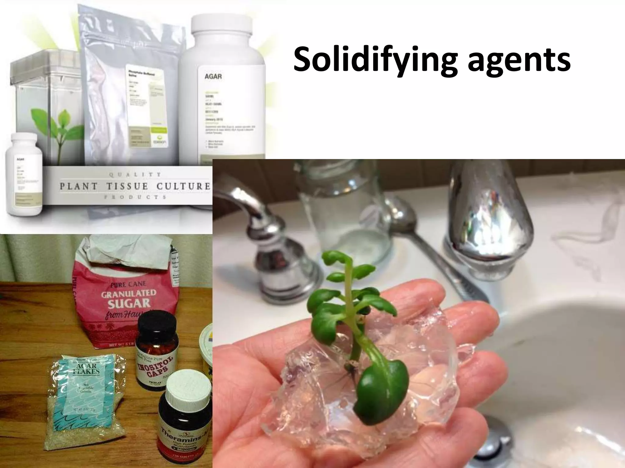 Solidifying agents 
 