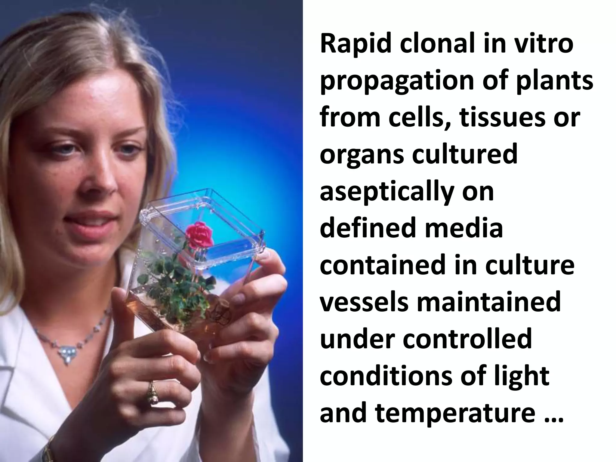Rapid clonal in vitro 
propagation of plants 
from cells, tissues or 
organs cultured 
aseptically on 
defined media 
contained in culture 
vessels maintained 
under controlled 
conditions of light 
and temperature … 
 