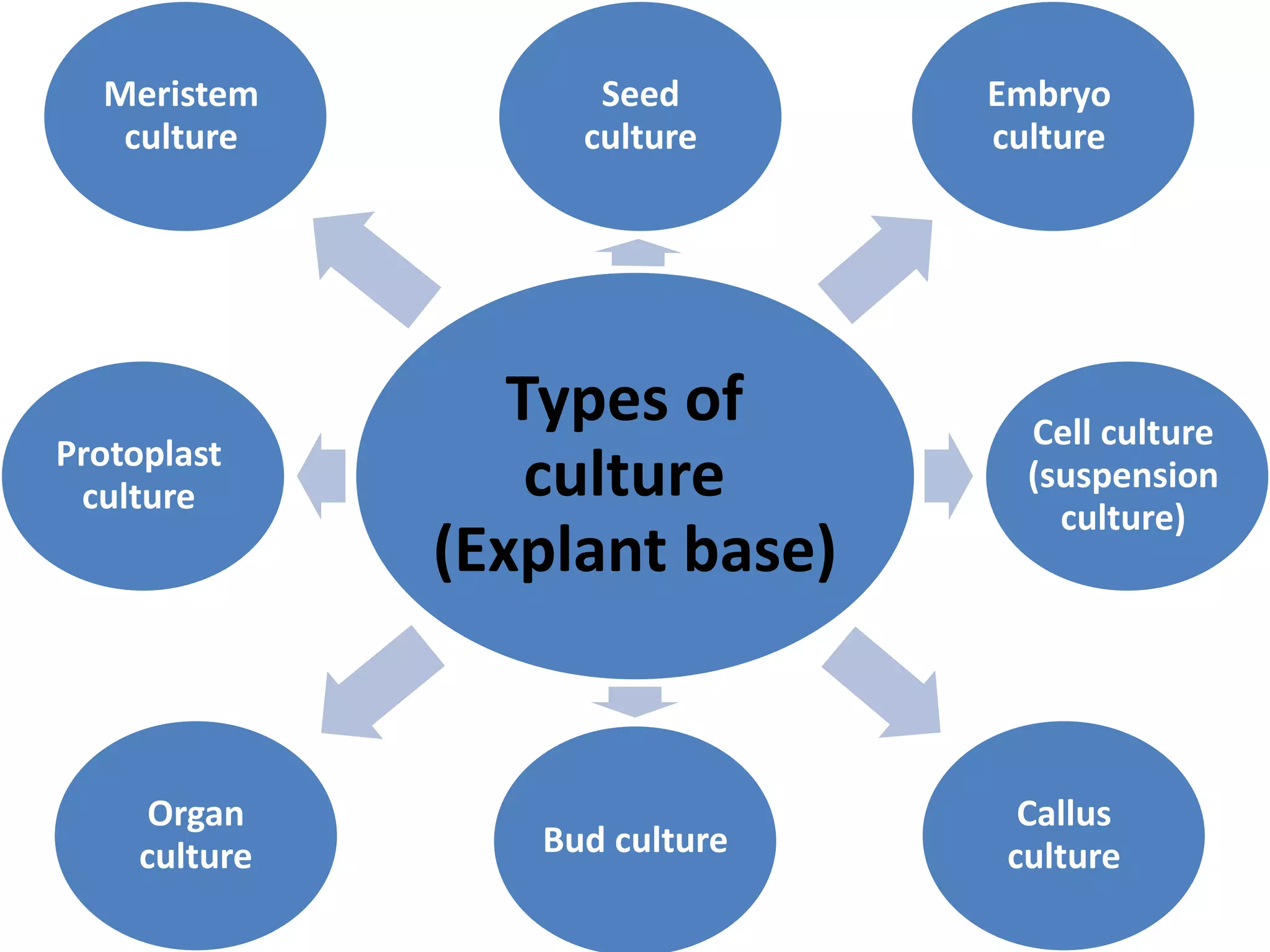 Seed 
culture 
Types of 
culture 
(Explant base) 
Embryo 
culture 
Cell culture 
(suspension 
culture) 
Callus 
Bud culture culture 
Meristem 
culture 
Protoplast 
culture 
Organ 
culture 
 