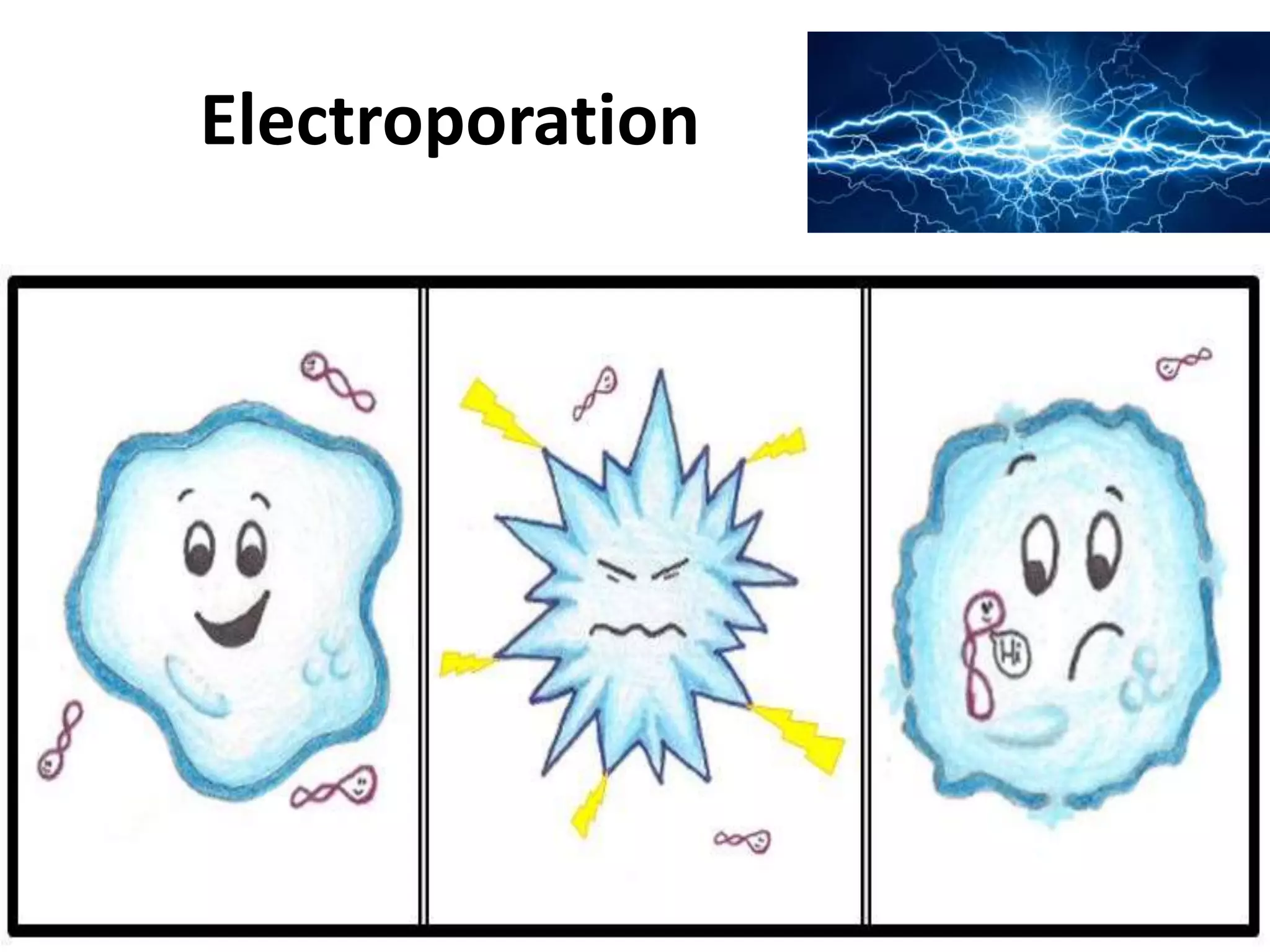 Electroporation 
 