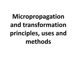 Micropropagation 
and transformation 
principles, uses and 
methods 
 
