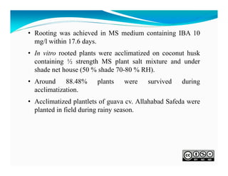 • Rooting was achieved in MS medium containing IBA 10
mg/l within 17.6 days.
• In vitro rooted plants were acclimatized on coconut husk
containing ½ strength MS plant salt mixture and under
shade net house (50 % shade 70-80 % RH).
• Around 88.48%
acclimatization.

plants

were

survived

during

• Acclimatized plantlets of guava cv. Allahabad Safeda were
planted in field during rainy season.

 