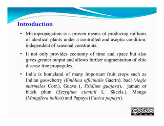 Introduction
• Micropropagation is a proven means of producing millions
of identical plants under a controlled and aseptic condition,
independent of seasonal constraints.
• It not only provides economy of time and space but also
gives greater output and allows further augmentation of elite
disease free propagules.
• India is homeland of many important fruit crops such as
Indian gooseberry (Emblica officinalis Gaertn), bael (Aegle
marmelos Corr.), Guava (, Psidium guajava), jamun or
black plum (Syzygium cuminii L. Skeels.), Mango
(Mangifera indica) and Papaya (Carica papaya).

 