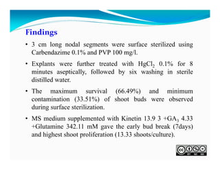 Findings
• 3 cm long nodal segments were surface sterilized using
Carbendazime 0.1% and PVP 100 mg/l.
• Explants were further treated with HgCl2 0.1% for 8
minutes aseptically, followed by six washing in sterile
distilled water.
• The maximum survival (66.49%) and minimum
contamination (33.51%) of shoot buds were observed
during surface sterilization.
• MS medium supplemented with Kinetin 13.9 3 +GA3 4.33
+Glutamine 342.11 mM gave the early bud break (7days)
and highest shoot proliferation (13.33 shoots/culture).

 