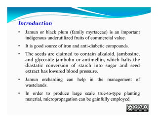 Introduction
•

Jamun or black plum (family myrtaceae) is an important
indigenous underutilized fruits of commercial value.

•

It is good source of iron and anti-diabetic compounds.

•

The seeds are claimed to contain alkaloid, jambosine,
and glycoside jambolin or antimellin, which halts the
diastatic conversion of starch into sugar and seed
extract has lowered blood pressure.

•

Jamun orcharding can help in the management of
wastelands.

•

In order to produce large scale true-to-type planting
material, micropropagation can be gainfully employed.

 