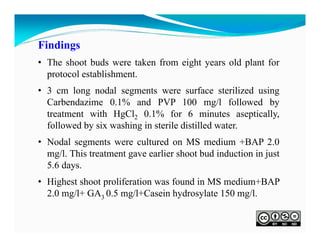 Findings
• The shoot buds were taken from eight years old plant for
protocol establishment.
• 3 cm long nodal segments were surface sterilized using
Carbendazime 0.1% and PVP 100 mg/l followed by
treatment with HgCl2 0.1% for 6 minutes aseptically,
followed by six washing in sterile distilled water.
• Nodal segments were cultured on MS medium +BAP 2.0
mg/l. This treatment gave earlier shoot bud induction in just
5.6 days.
• Highest shoot proliferation was found in MS medium+BAP
2.0 mg/l+ GA3 0.5 mg/l+Casein hydrosylate 150 mg/l.

 