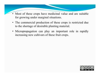 • Most of these crops have medicinal value and are suitable
for growing under marginal situations.
• The commercial production of these crops is restricted due
to the shortage of desirable planting material.
• Micropropagation can play an important role in rapidly
increasing new cultivars of these fruit crops.

 