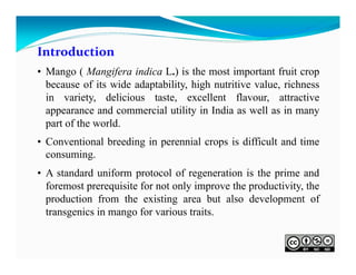 Introduction
• Mango ( Mangifera indica L.) is the most important fruit crop
because of its wide adaptability, high nutritive value, richness
in variety, delicious taste, excellent flavour, attractive
appearance and commercial utility in India as well as in many
part of the world.
• Conventional breeding in perennial crops is difficult and time
consuming.
• A standard uniform protocol of regeneration is the prime and
foremost prerequisite for not only improve the productivity, the
production from the existing area but also development of
transgenics in mango for various traits.

 