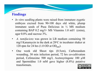 Findings
• In vitro seedling plants were raised from immature zygotic
embryos excised from 90-100 days old white, plump
immature seeds of Pusa Delicious in ½ MS medium
containing BAP 0.2 mg/l+ MS Vitamins 1.0 ml/l (extra),
agar 0.8% and sucrose 3%.
•

A. tumifaciens was grown in LB medium containing 50
mg/l Kanamycin in the dark at 28oC in incubator shaker at
120 rpm for 24 hrs (1.0 OD at OD600).

•

One week old Shoot tips (0.5cm), Carborandum
wounding, 30 min infection period, 72 hrs co-cultivation
period, Cefotaxime 500 mg/l, Acetosyringone 100 µM
and Spermidine 1.0 mM gave higher (8.8%) putative
transformats.

 