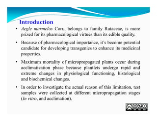 Introduction
• Aegle marmelos Corr., belongs to family Rutaceae, is more
prized for its pharmacological virtues than its edible quality.
• Because of pharmacological importance, it’s become potential
candidate for developing transgenics to enhance its medicinal
properties.
• Maximum mortality of micropropagated plants occur during
acclimatization phase because plantlets undergo rapid and
extreme changes in physiological functioning, histological
and biochemical changes.
• In order to investigate the actual reason of this limitation, test
samples were collected at different micropropagation stages
(In vitro, and acclimation).

 