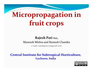 Micropropagation in 
fruit crops
Rajesh Pati PhD,
Maneesh Mishra and Ramesh Chandra
e‐mail: rajeshpati777@gmail.com 

Central Institute for Subtropical Horticulture, 
Lucknow, India

 