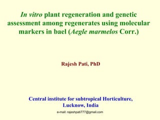 In vitro plant regeneration and genetic
assessment among regenerates using molecular
markers in bael (Aegle marmelos Corr.)
Central institute for subtropical Horticulture,
Lucknow, India
Rajesh Pati, PhD
e-mail: rajeshpati777@gmail.com
 