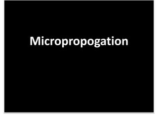 Micropropogation
 